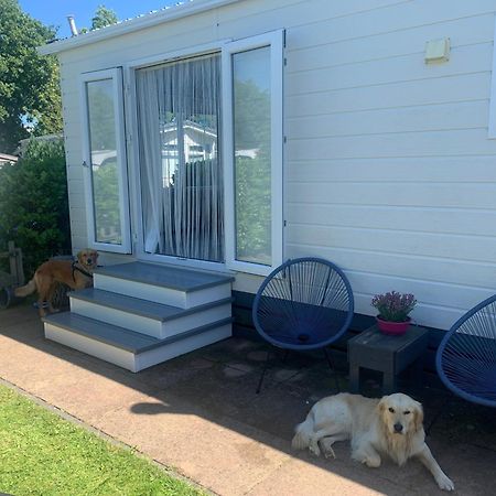N 9Strandnahes, Hunde-Familienfreundliches Ferienhaus Callantsoog Exterior foto