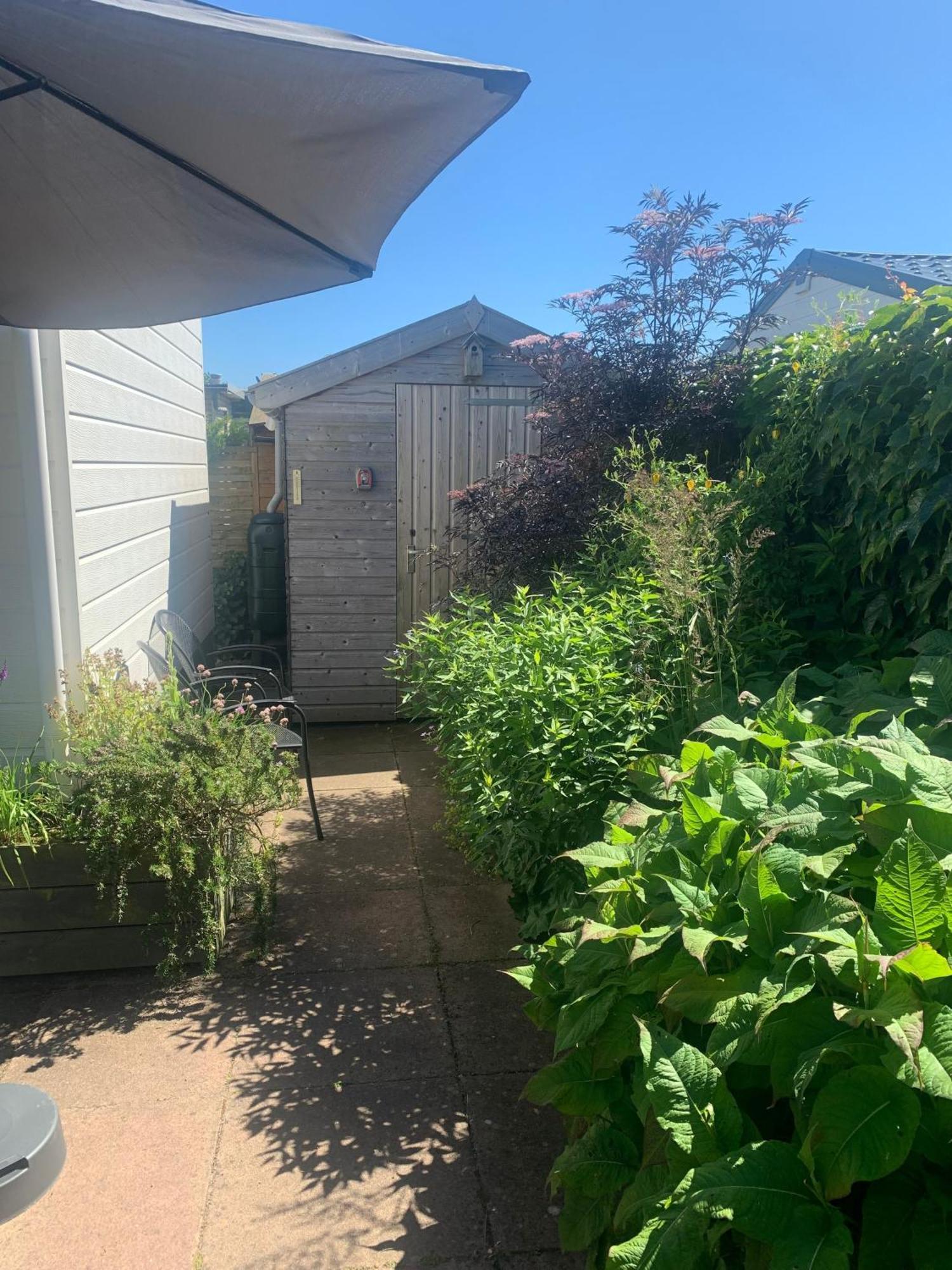 N 9Strandnahes, Hunde-Familienfreundliches Ferienhaus Callantsoog Exterior foto