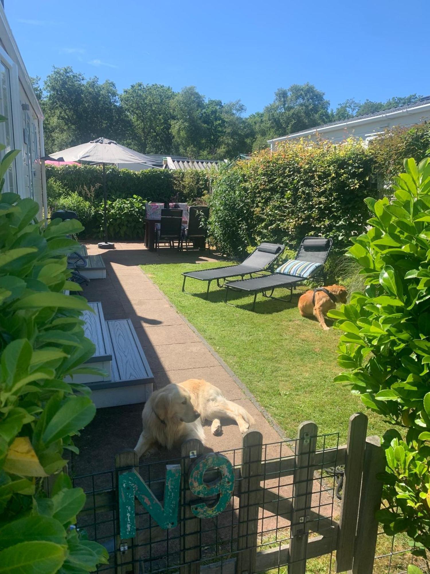 N 9Strandnahes, Hunde-Familienfreundliches Ferienhaus Callantsoog Exterior foto