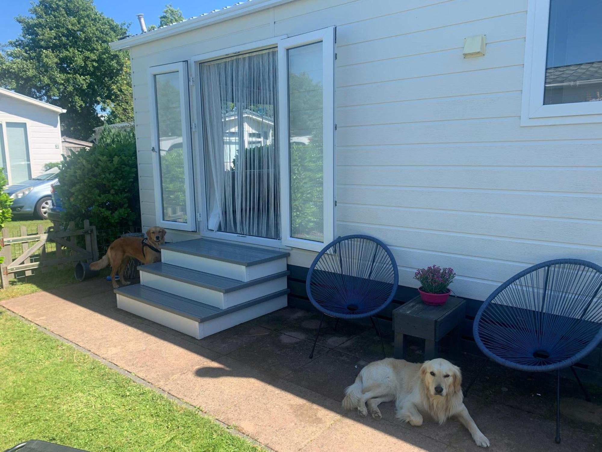 N 9Strandnahes, Hunde-Familienfreundliches Ferienhaus Callantsoog Exterior foto