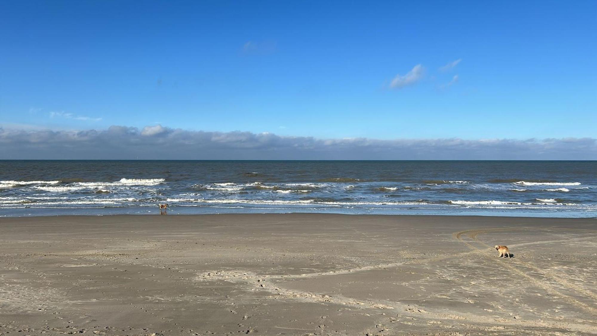 N 9Strandnahes, Hunde-Familienfreundliches Ferienhaus Callantsoog Exterior foto